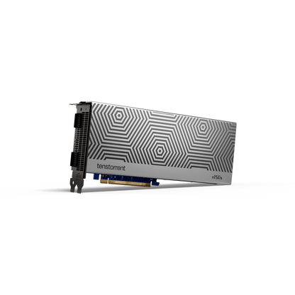 Tenstorrent Wormhole n300 (24GB)